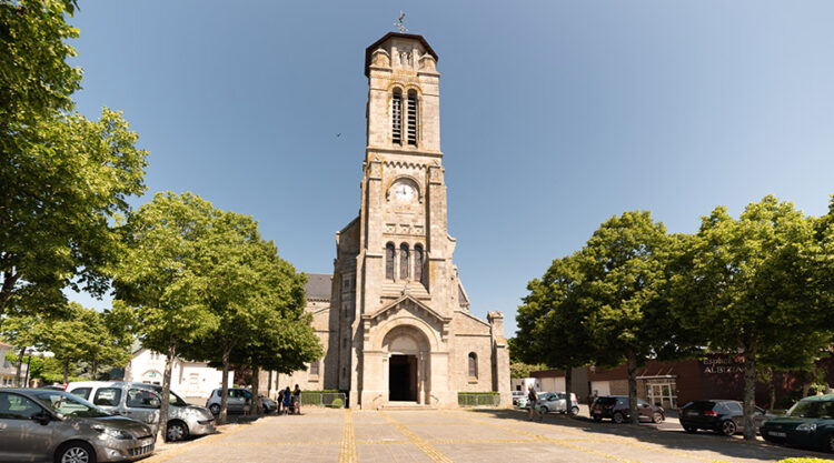 Fleur De Lys Les Lucs Sur Boulogne