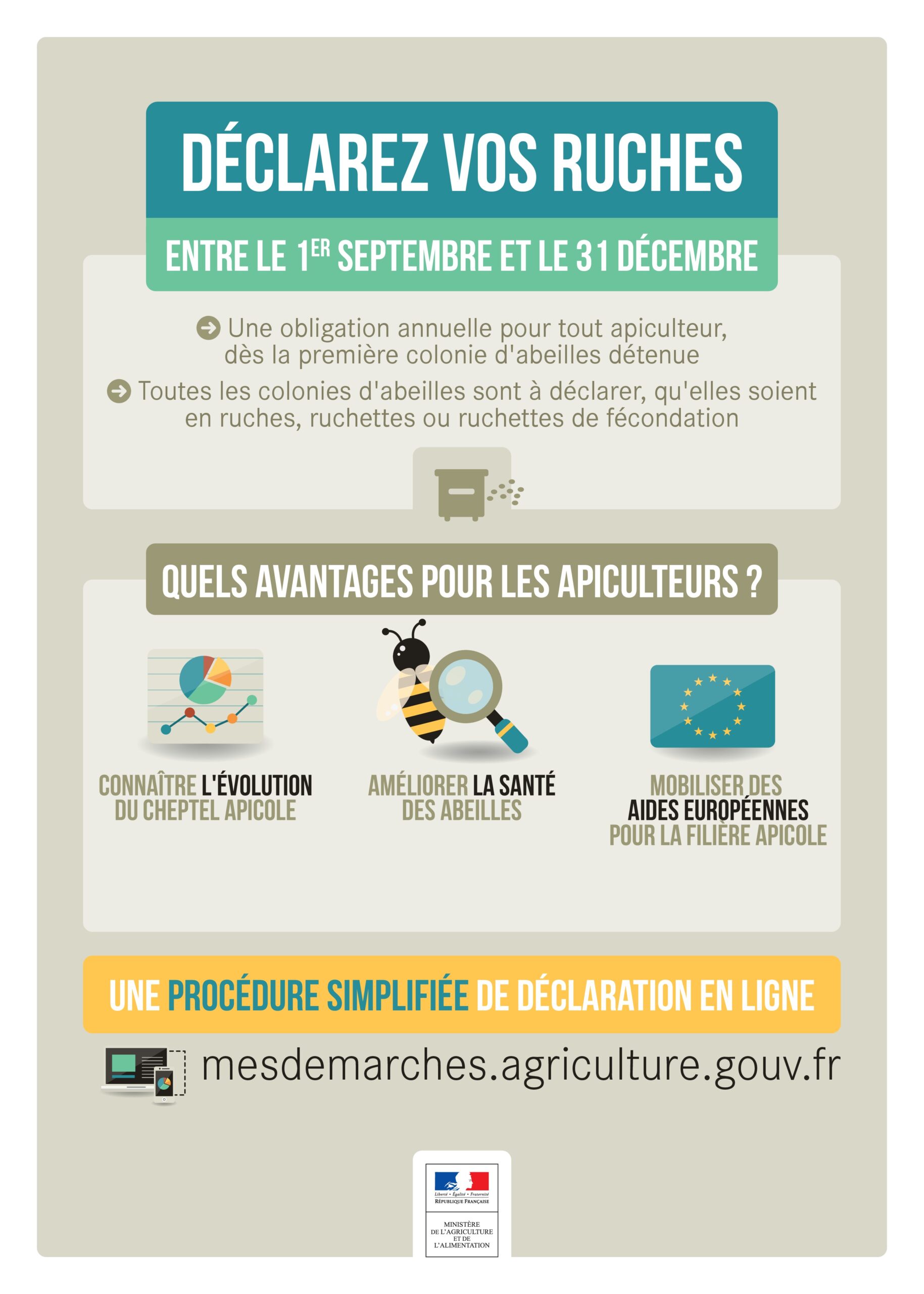 image actualité